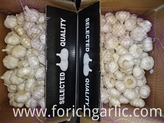 Loose Packing Pure White Garlic